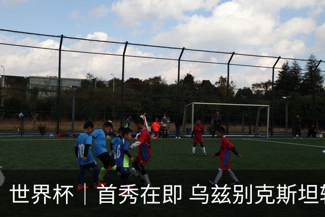 世界杯｜首秀在即 乌兹别克斯坦轻松备战