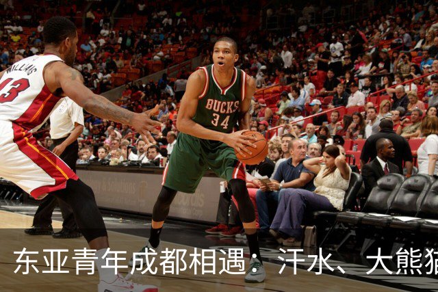 东亚青年成都相遇：汗水、大熊猫与友谊