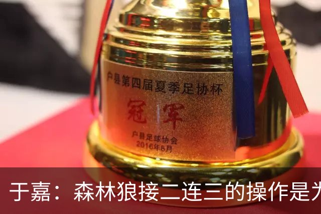 于嘉：森林狼接二连三的操作是为了对阵马刺 找不到其他理由了
