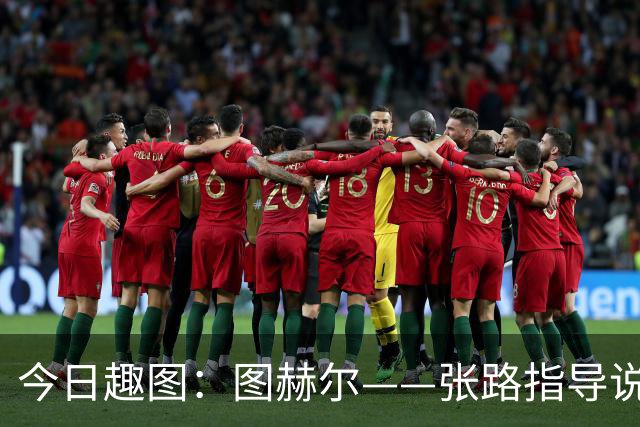 今日趣图：图赫尔——张路指导说得对，别输在不会小高球上