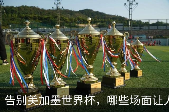 告别美加墨世界杯，哪些场面让人“意难平”？