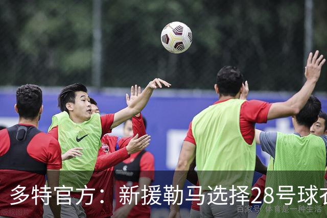 多特官方：新援勒马选择28号球衣 加杜选择贝林此前穿过的22号
