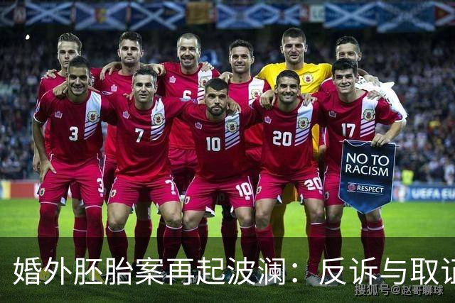 婚外胚胎案再起波澜：反诉与取证成争点