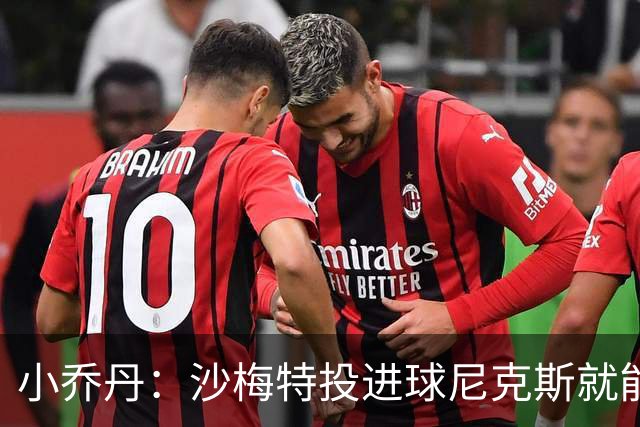 小乔丹：沙梅特投进球尼克斯就能赢 替补球员将帮你赢一场比赛