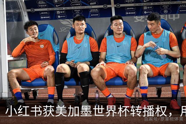 小红书获美加墨世界杯转播权，用户增长新机遇来袭！