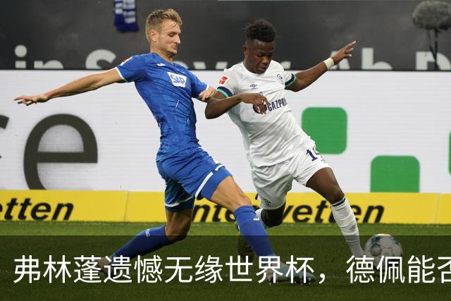 弗林蓬遗憾无缘世界杯，德佩能否成荷兰新希望？