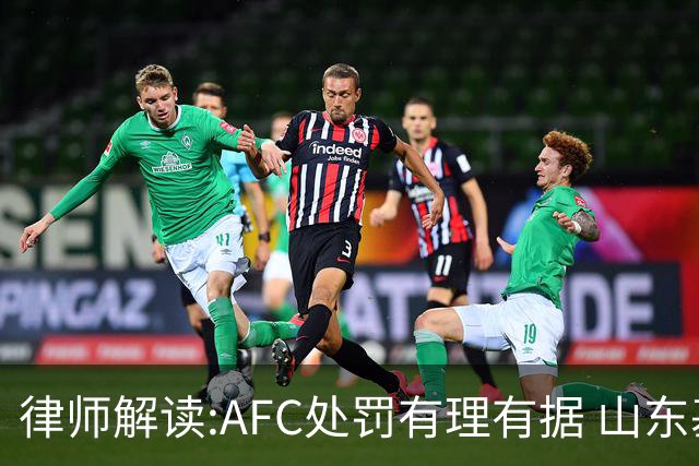 律师解读:AFC处罚有理有据 山东基本确定无缘亚冠