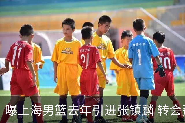 曝上海男篮去年引进张镇麟 转会费投入超5000万