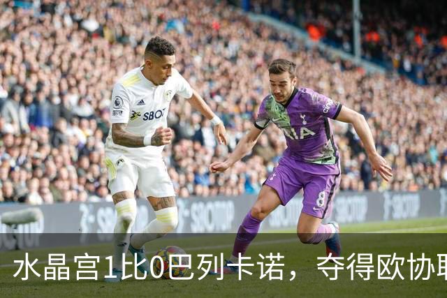 水晶宫1比0巴列卡诺，夺得欧协联冠军，队史首个欧战冠军