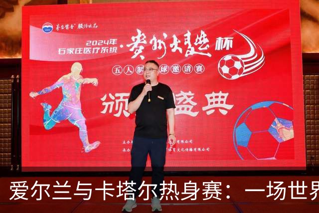爱尔兰与卡塔尔热身赛：一场世界杯前的战略较量