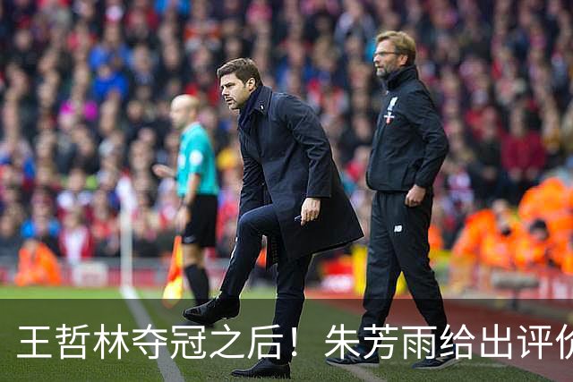 王哲林夺冠之后！朱芳雨给出评价，让众多主教练破防
