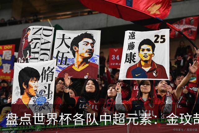 盘点世界杯各队中超元素：金玟哉维特塞尔领衔(图)