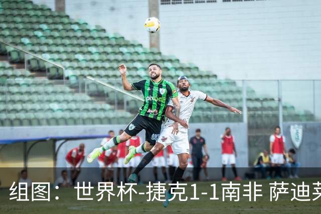组图：世界杯-捷克1-1南非 萨迪莱克闪袭莫科纳点射扳平