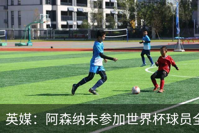 英媒：阿森纳未参加世界杯球员全部归队，热苏斯、法维也将参训