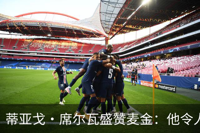 蒂亚戈·席尔瓦盛赞麦金：他令人惊叹，世界杯上巴西需要注意他