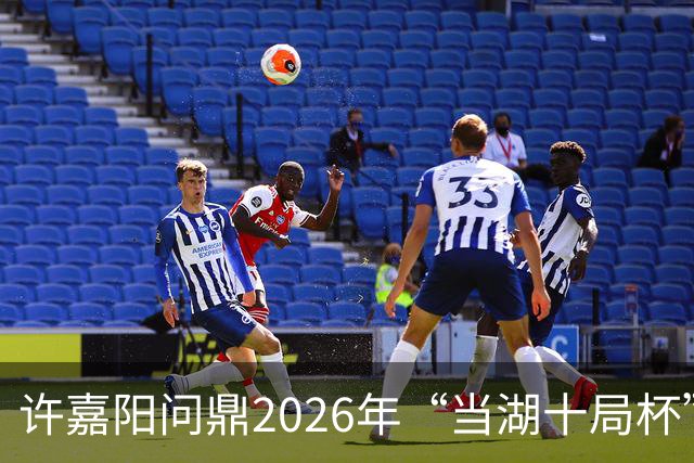 许嘉阳问鼎2026年“当湖十局杯”中国围棋快棋赛