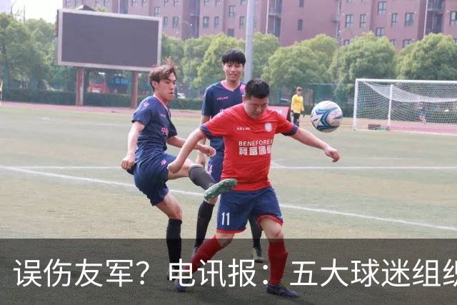 误伤友军？电讯报：五大球迷组织抗议曼联打击黄牛方式太残暴