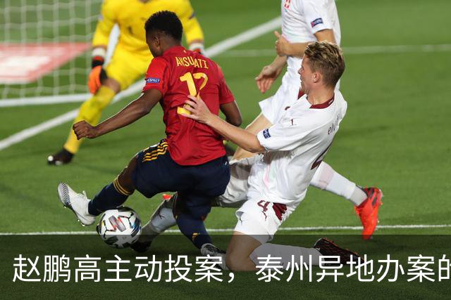 赵鹏高主动投案，泰州异地办案的深意
