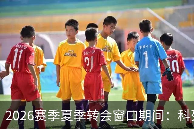 2026赛季夏季转会窗口期间：科列夫离队，孟俊杰租借加盟无锡吴钩